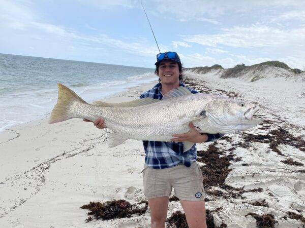 MULLOWAY ESPERANCE