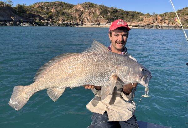 jewfish broome