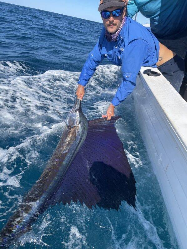 sailfish broome