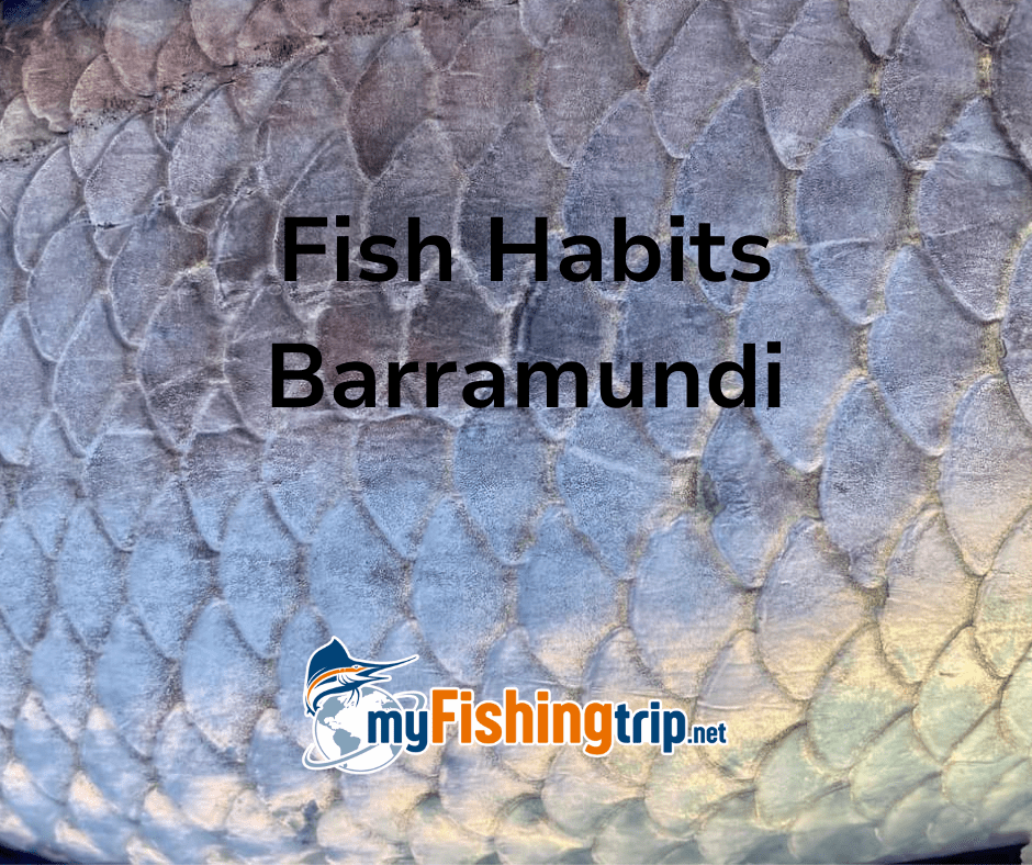 Fish Habits Barramundi