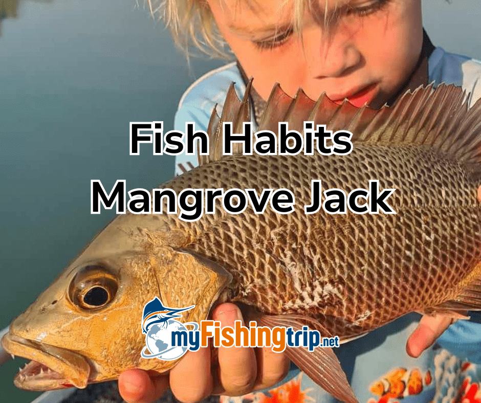 Fish Habits Mangrove Jack