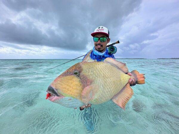 TRIGGERFISH COCOS ISLANDS