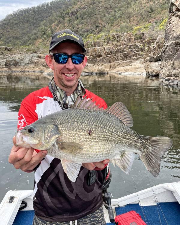 AUSTRALIAN BASS CLARENCE RIVER