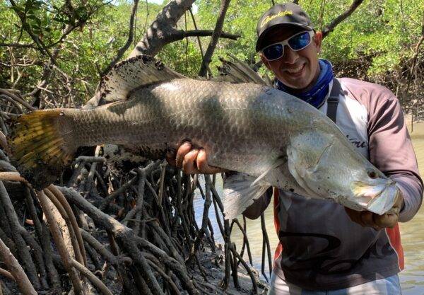 BARRAMUNDI BARRA MACKAY