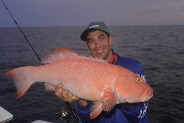 CORAL TROUT MACKAY