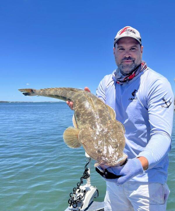 FLATHEAD Moreton Bay