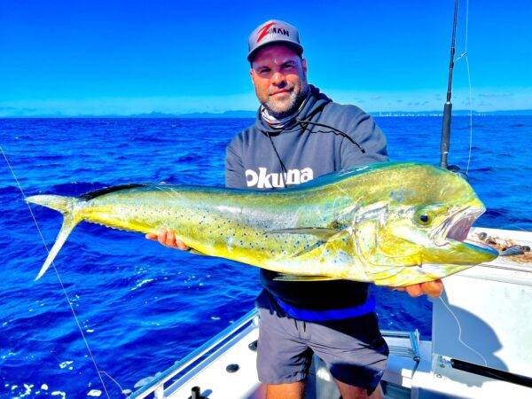 MAHI MAHI Moreton Bay