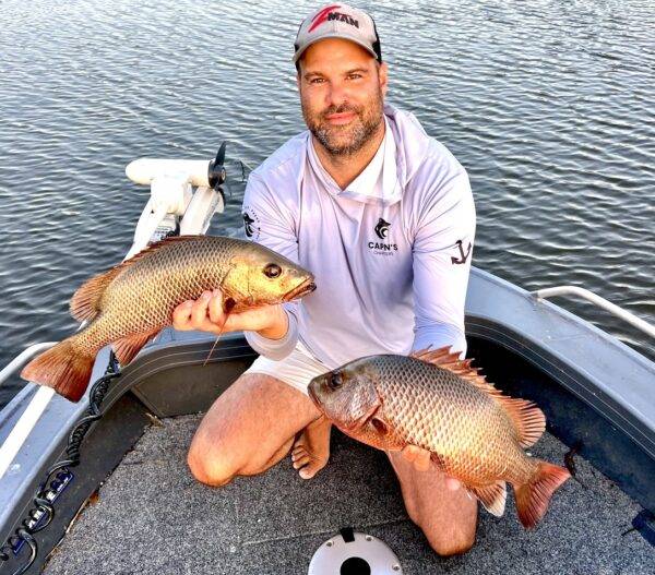 MANGROVE JACKS Moreton Bay