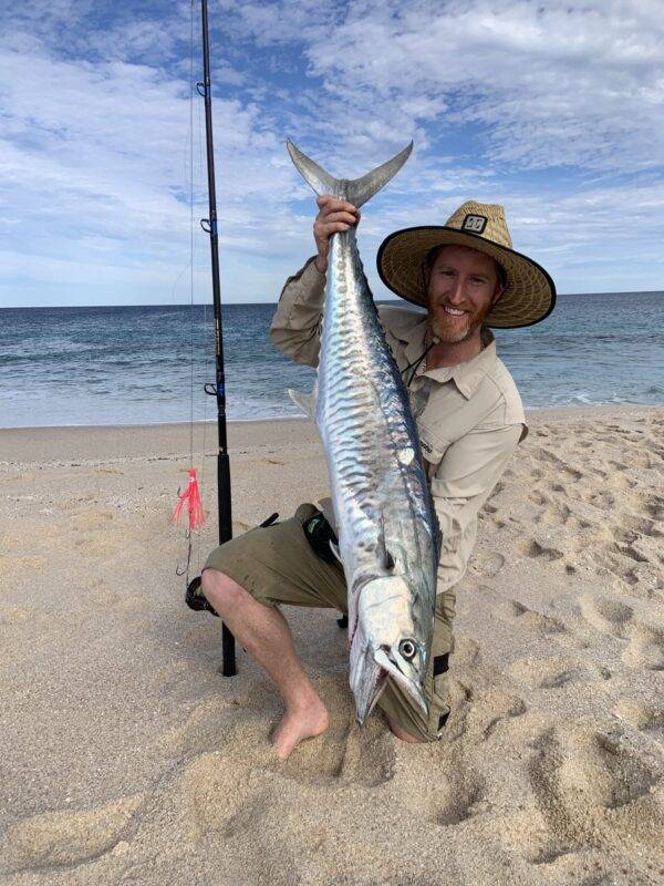 Spanish mackerel steep point