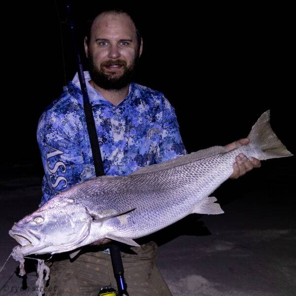 albany landbased mulloway