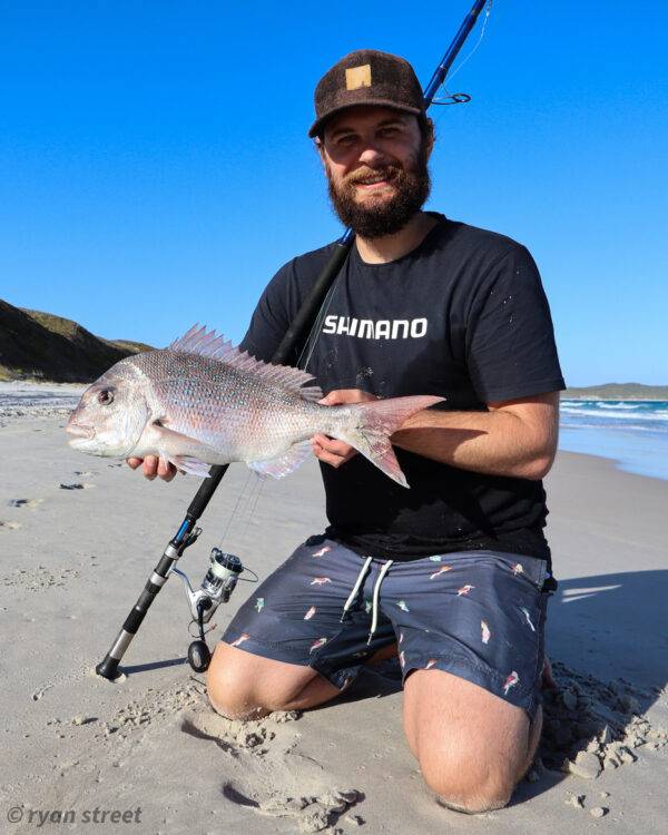 albany landbased snapper