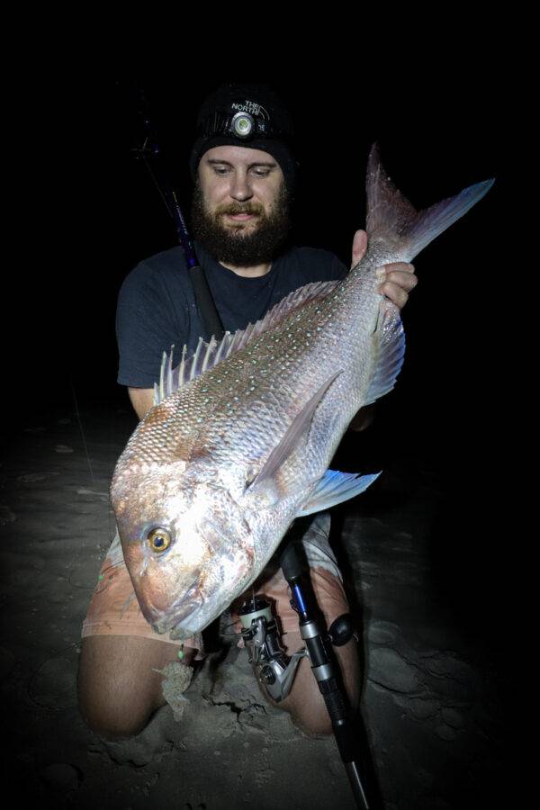 albany landbased snapper