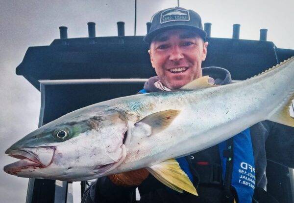 kingfish dunsborough