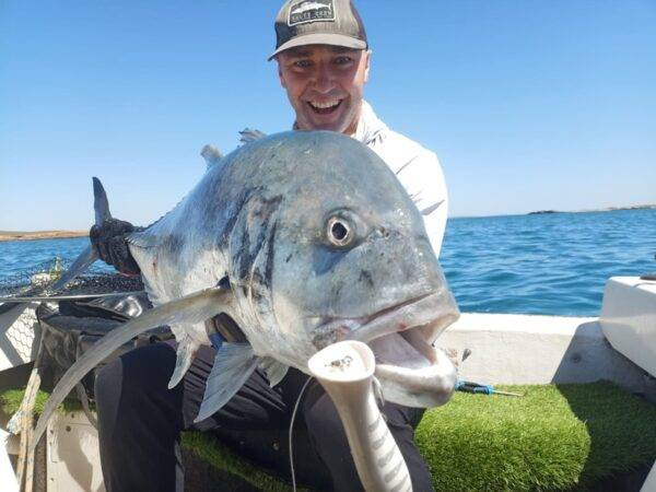 murray harcus sailfish