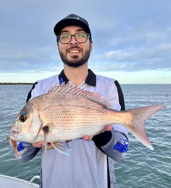 pink snapper moreton bay brisbane