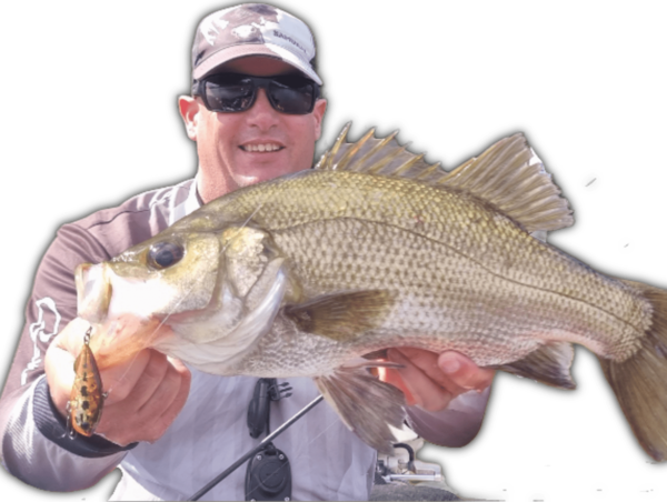 Estuary Perch jervey bay