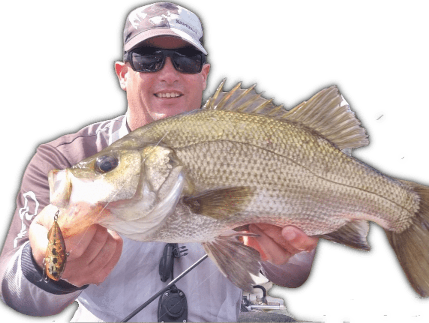 Estuary Perch jervey bay