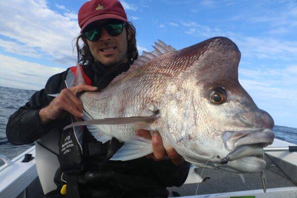 south west rocks snapper