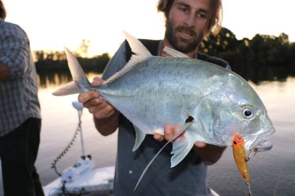 south west rocks trevally